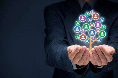 Management Consulting